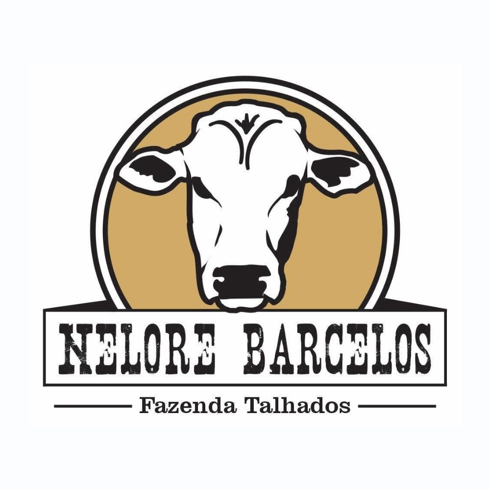 NELORE BARCELOS