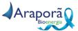 ARAPORA BIOENERGIA S/A