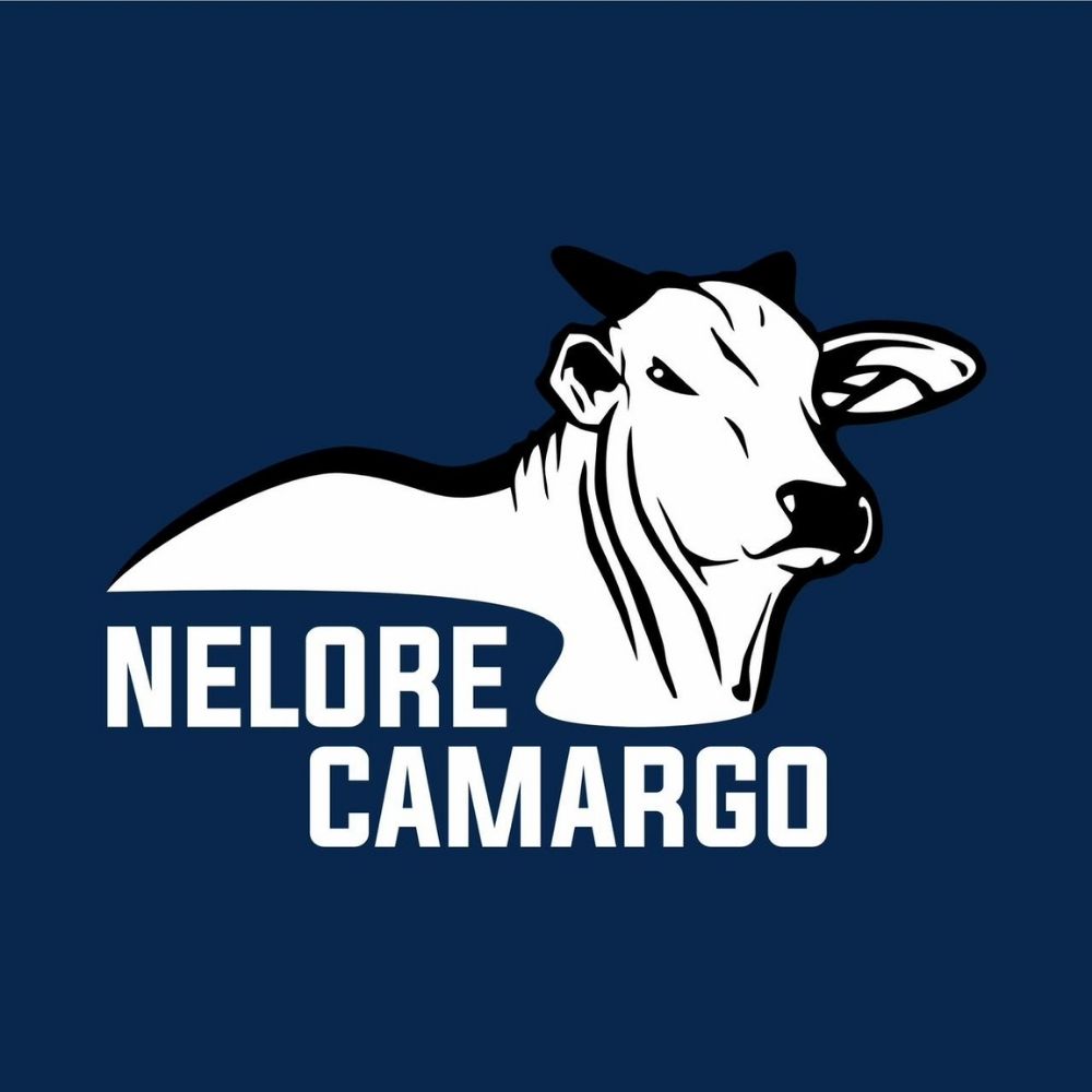 NELORE CAMARGO