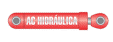 AC HIDRAULICA LTDA