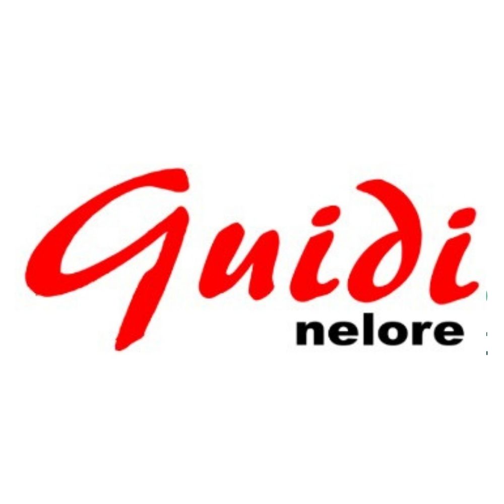 JOÃO ANGELO GUIDI JUNIOR