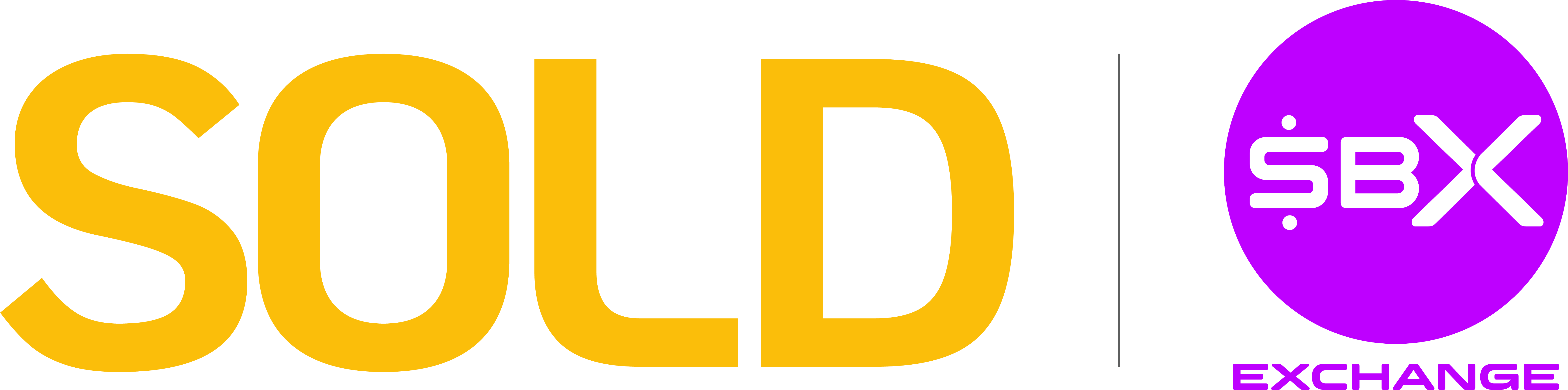 FDS SOLUÇOES EM TECNOLOGIA LTDA