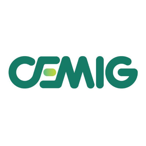 CEMIG GERACAO E TRANSMISSAO S.A