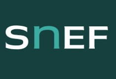 SNEF ENERGIA E TELECOMUNICACOES