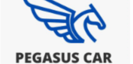 PEGASUS CAR LOCAÇÕES LTDA