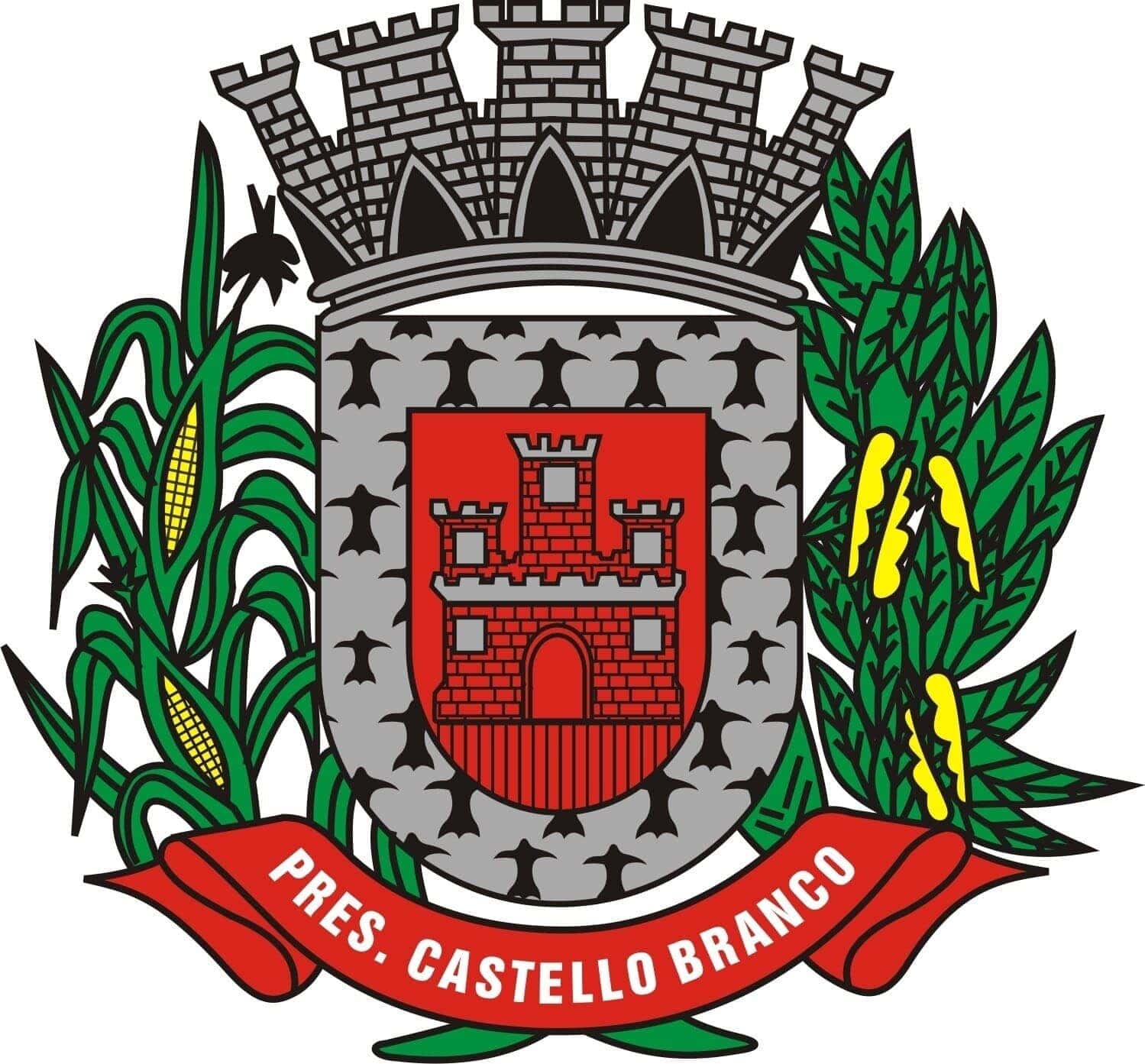 MUNICÍPIO DE PRESIDENTE CASTELLO BRANCO