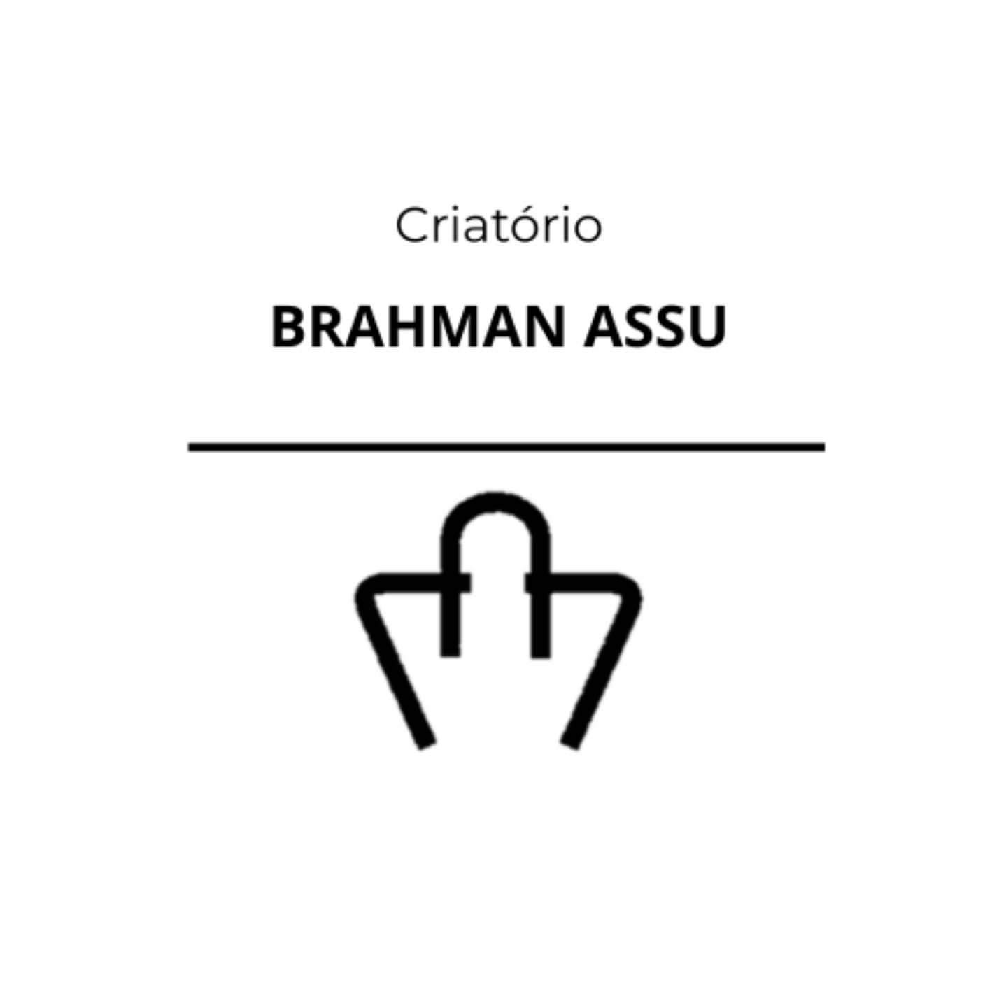 Brahman ASSU