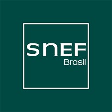 SNEF ENERGIA E TELECOMUNICACOES