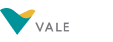 VALE MANGANÊS