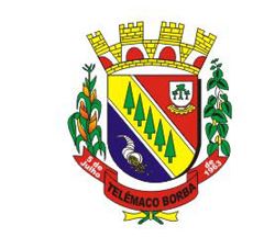 MUNICÍPIO DE TELÊMACO BORBA