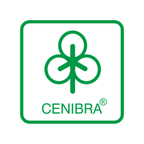 CELULOSE NIPO BRASILEIRA