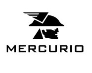 CORREIAS MERCURIO SA INDUSTRIA E COMERCIO