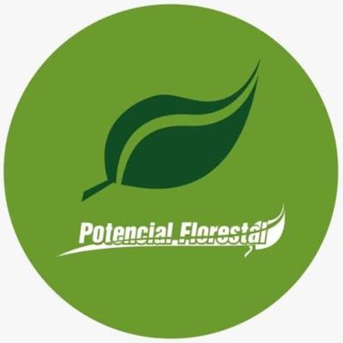 POTENCIAL FLORESTAL COMERCIO E TRANSPORTE DE MADEIRA LTDA