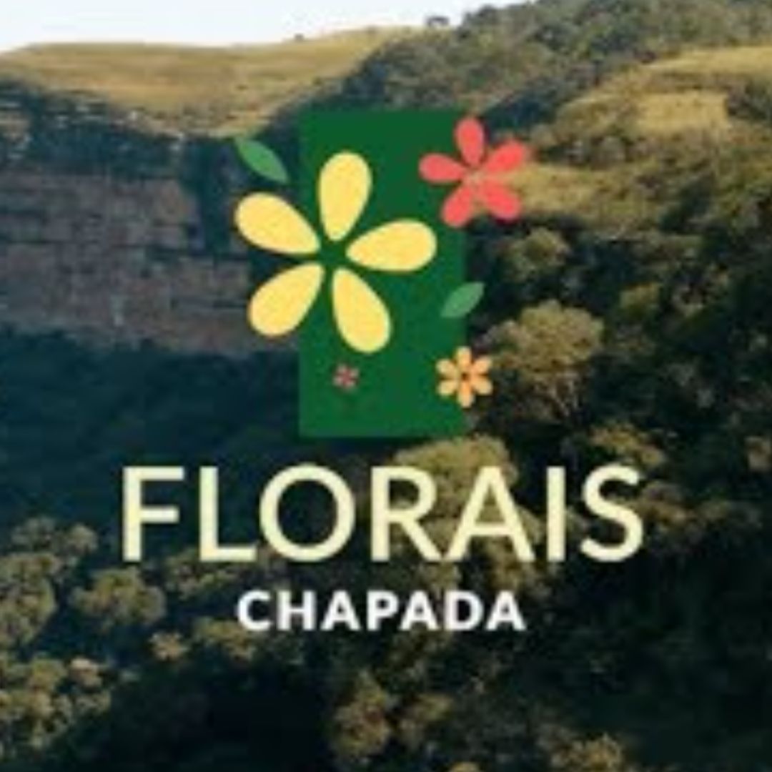 GINCO ORION INCORPORAÇÕES LTDA
