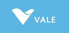 VALE BASE METALS