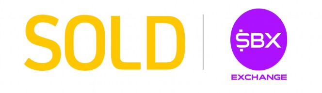 ASSOCIACAO DE AMPARO AO IDOSO