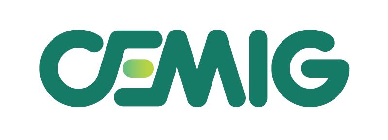 CEMIG GERACAO E TRANSMISSAO S.A