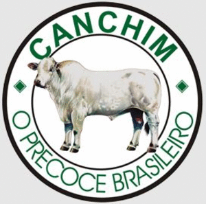 Canchim