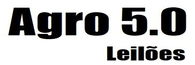 Triângulo Leilões