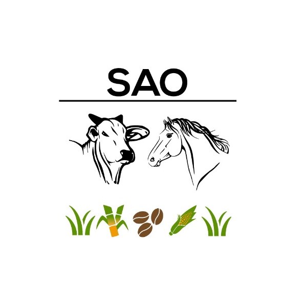 LAURA MEI ALVES DE OLIVEIRA SANG