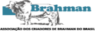 BRAHMAN