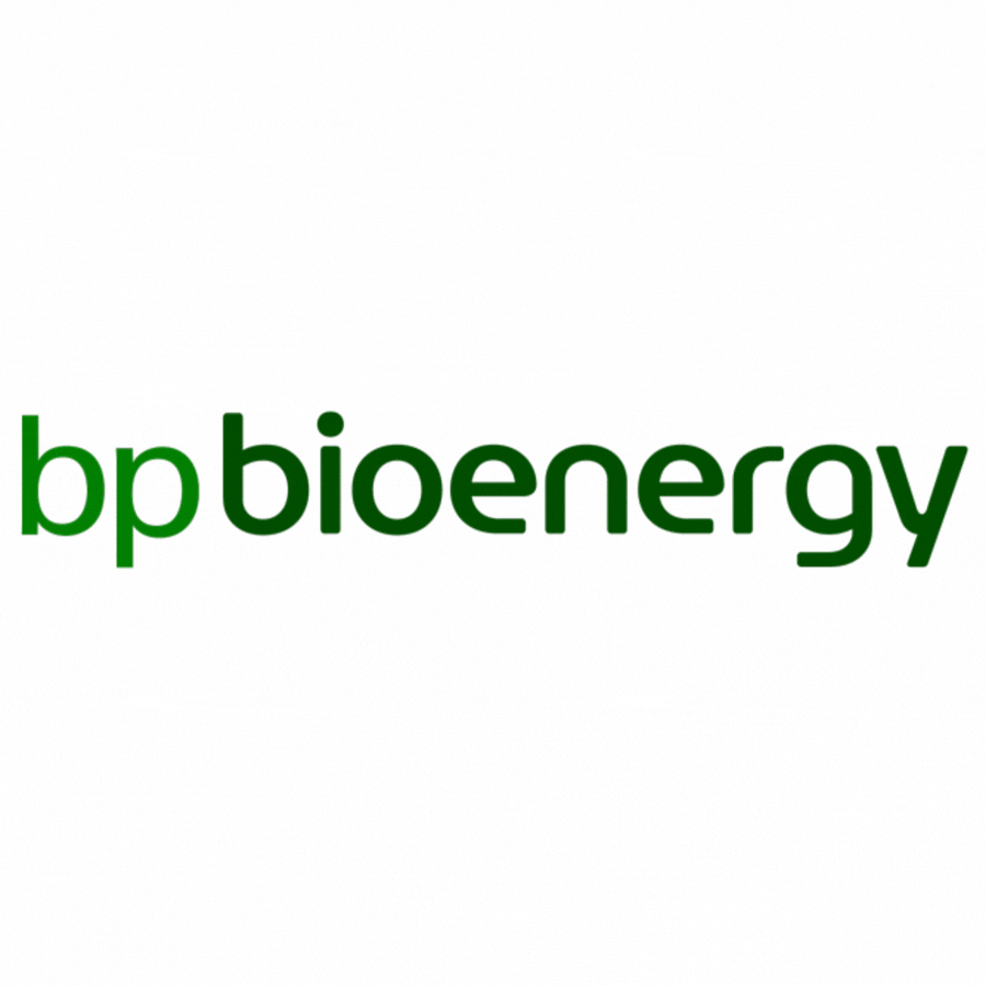 BP BUNGE BIOENERGIA