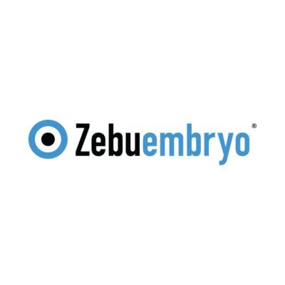 Zebuembryo