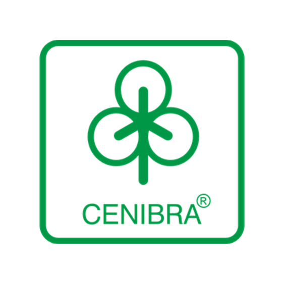 CELULOSE NIPO BRASILEIRA