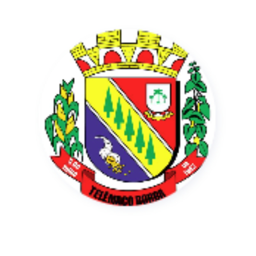 MUNICÍPIO DE TELÊMACO BORBA