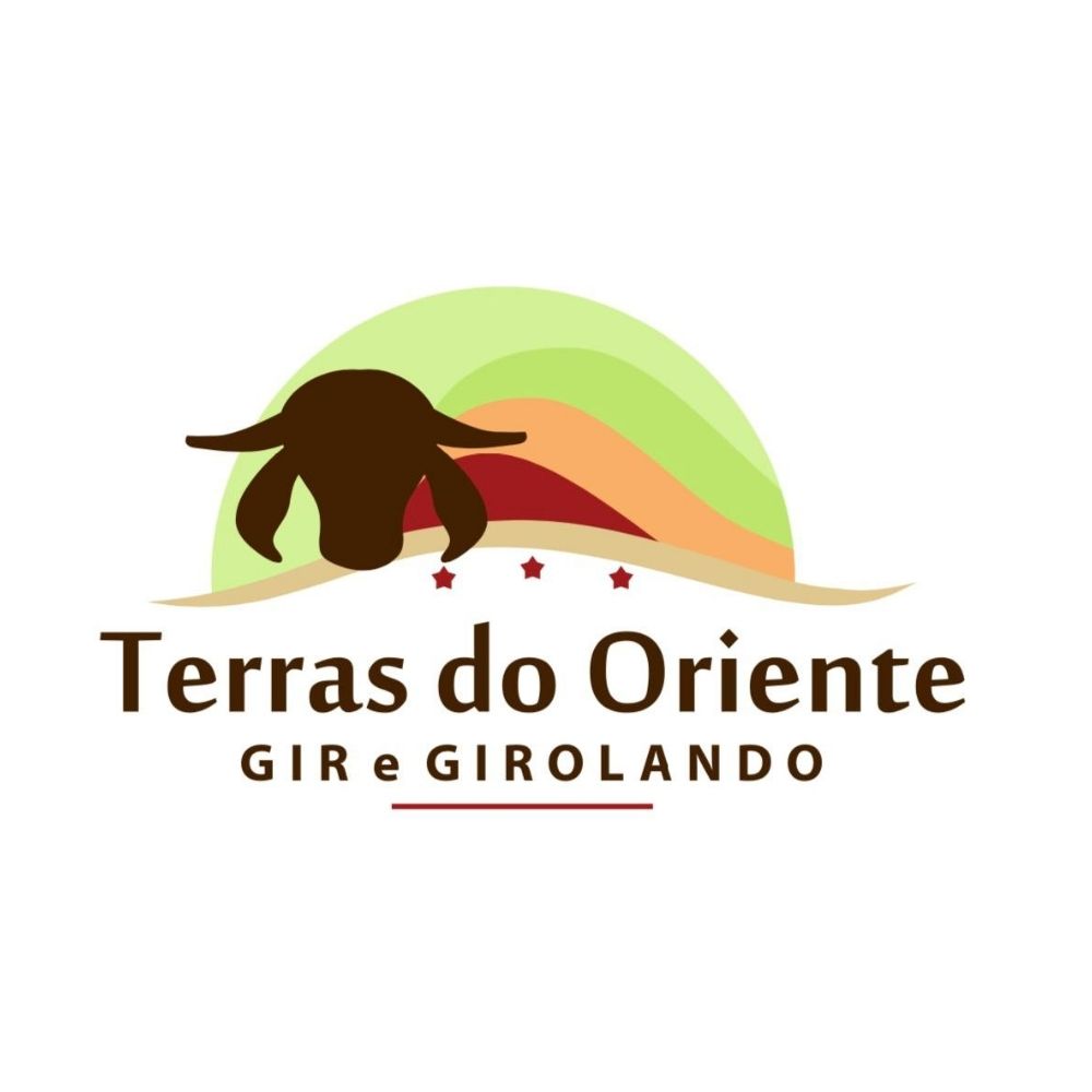 Marlucio S Borges