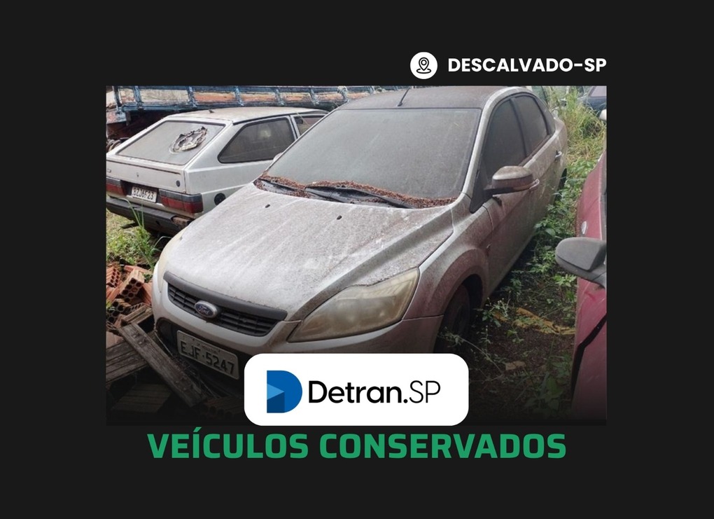 Dedalo Leiloes