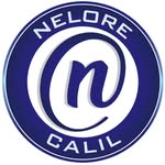 NELORE CALIL