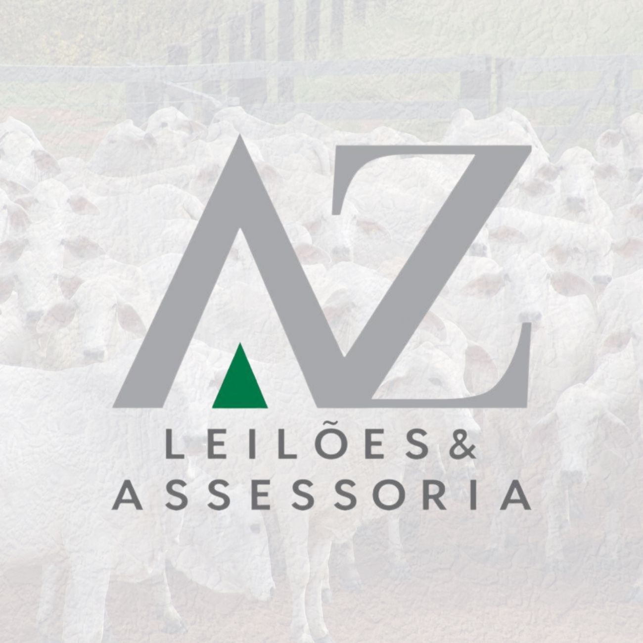 Luiz Soares Guimarães