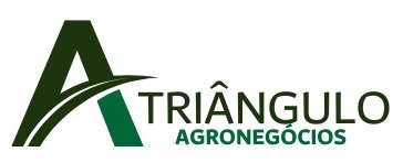 Triângulo Leilões