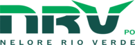 NELORE RIO VERDE