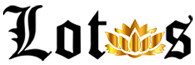 LOTUS LEILÕES