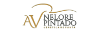NELORE PINTADO AV