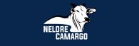 Nelore Camargo
