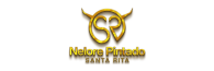 NELORE PINTADO SANTA RITA