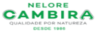 NELORE CAMBIRA
