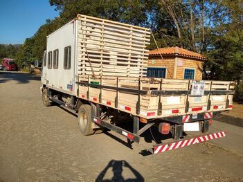 CAMINHÃO CABINADO FORD CARGO 816 S, 2012/2013, Placa FINAL 0 (MG), (Ref.: ST)