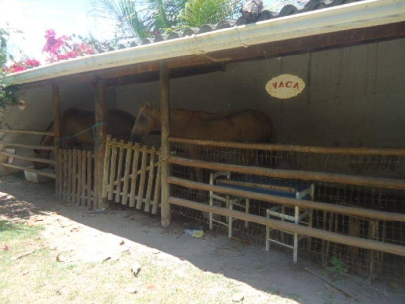 Casa, Residencial, JAUA, 6 dormitório(s)