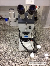 ESTÉREOSCOPIO ZEISS SV, SÉRIE: DL1219 (Ref.: 40022)