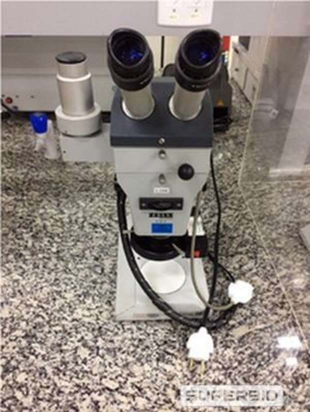 ESTÉREOSCOPIO ZEISS SV, SÉRIE: DL1219 (Ref.: 40022)