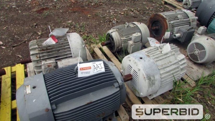 SUCATA DE MOTORES ELÉTRICOS (17 PÇ) (Ref.: AAI)