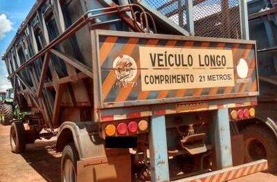 REBOQUE TRANSBORDO RODOFORT SMR 12500, 2008/2008, Placa FINAL 8 (MG), (Ref.: 378)