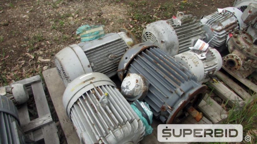 SUCATA DE MOTORES ELÉTRICOS (20 PÇ) (Ref.: AAH)