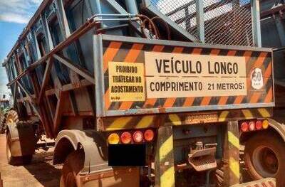 REBOQUE TRANSBORDO RODOFORT SMR 12500, 2008/2008, Placa FINAL 6 (MG), (Ref.: 373)