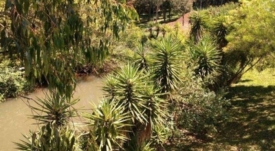 Casa, Residencial, CENTRO