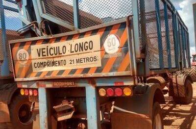 REBOQUE TRANSBORDO RODOFORT SMR 12500, 2008/2008, Placa FINAL 3 (MG), (Ref.: 362)